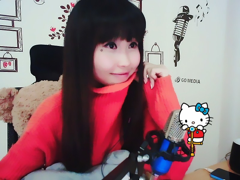 我是一只小小羽